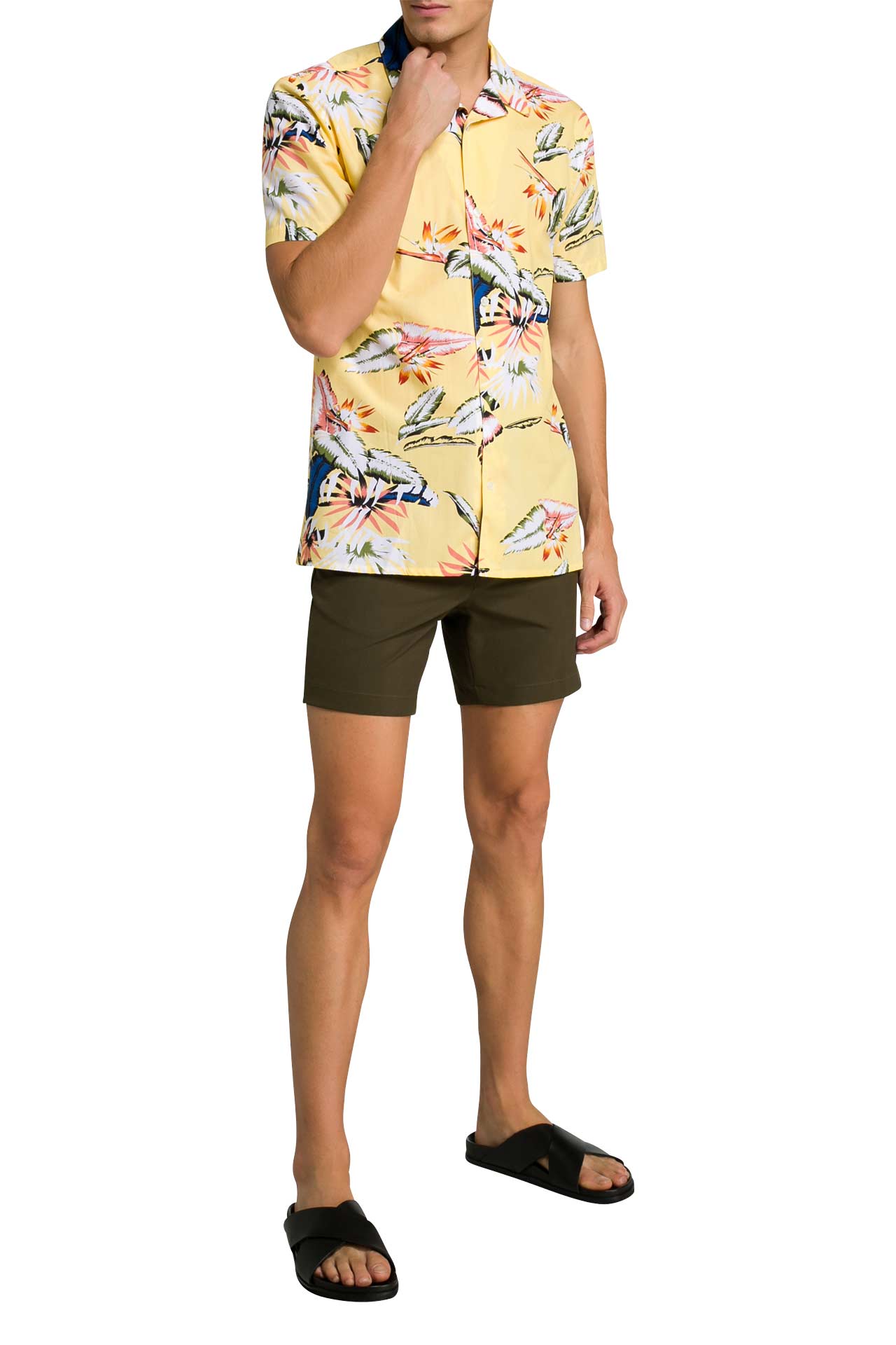 MINIMUM Shorts 'Casper' oliv, Bild 1