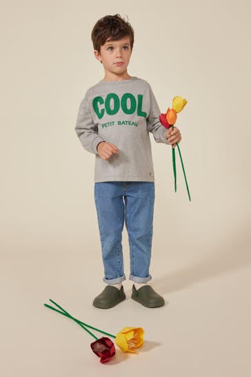 PETIT BATEAU Longsleeve grau