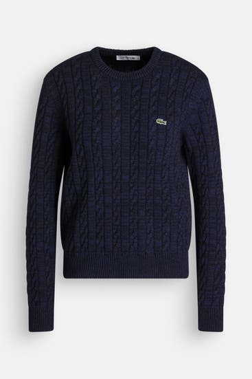 LACOSTE - Wollmix-Pullover dunkelblau