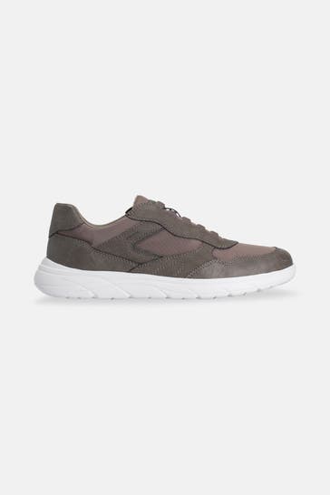 GEOX Sneaker taupe