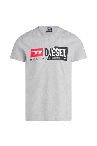DIESEL T-Shirt 'Diego' grau