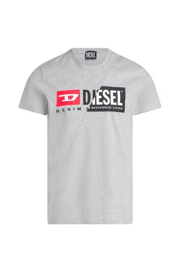 DIESEL - T-Shirt 'Diego' grau