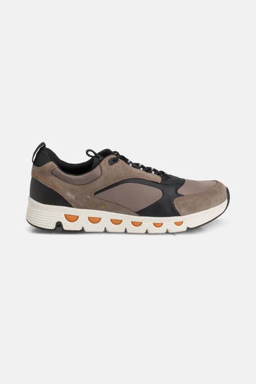 GEOX Sneaker 'Spherica' gemustert