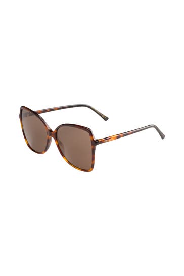 JIMMY CHOO Sonnenbrille 'Fede' braun