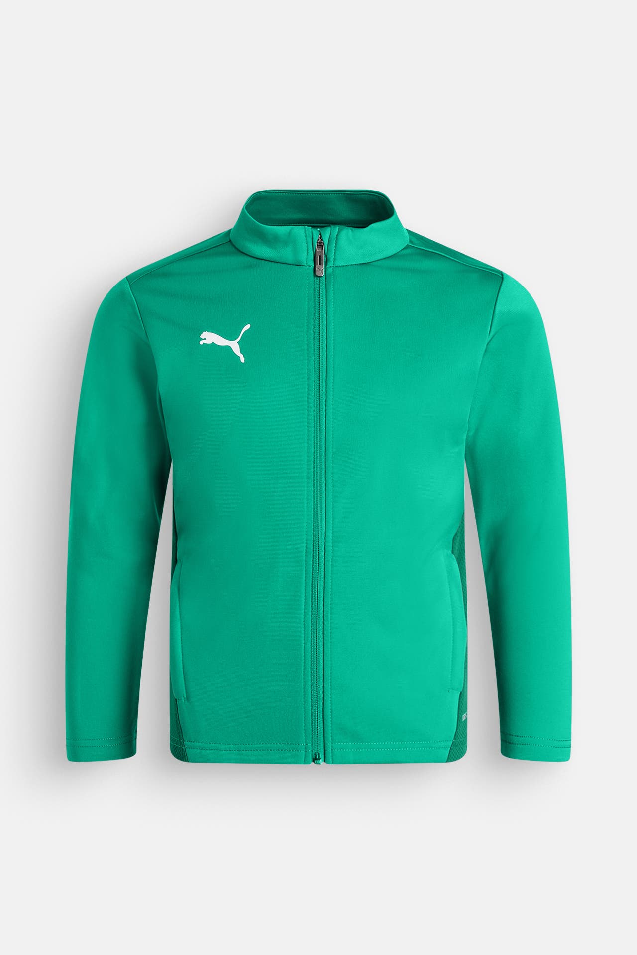 PUMA Trainingsjacke 'Team Goal' grün, Bild 1