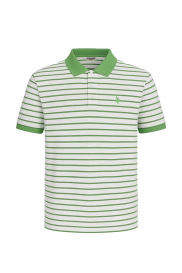 U.S. POLO ASSN. Polo-Shirt gestreift regular