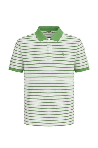 U.S. POLO ASSN. Polo-Shirt gestreift regular