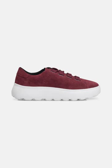 GEOX Sneaker 'Spherica' burgunder
