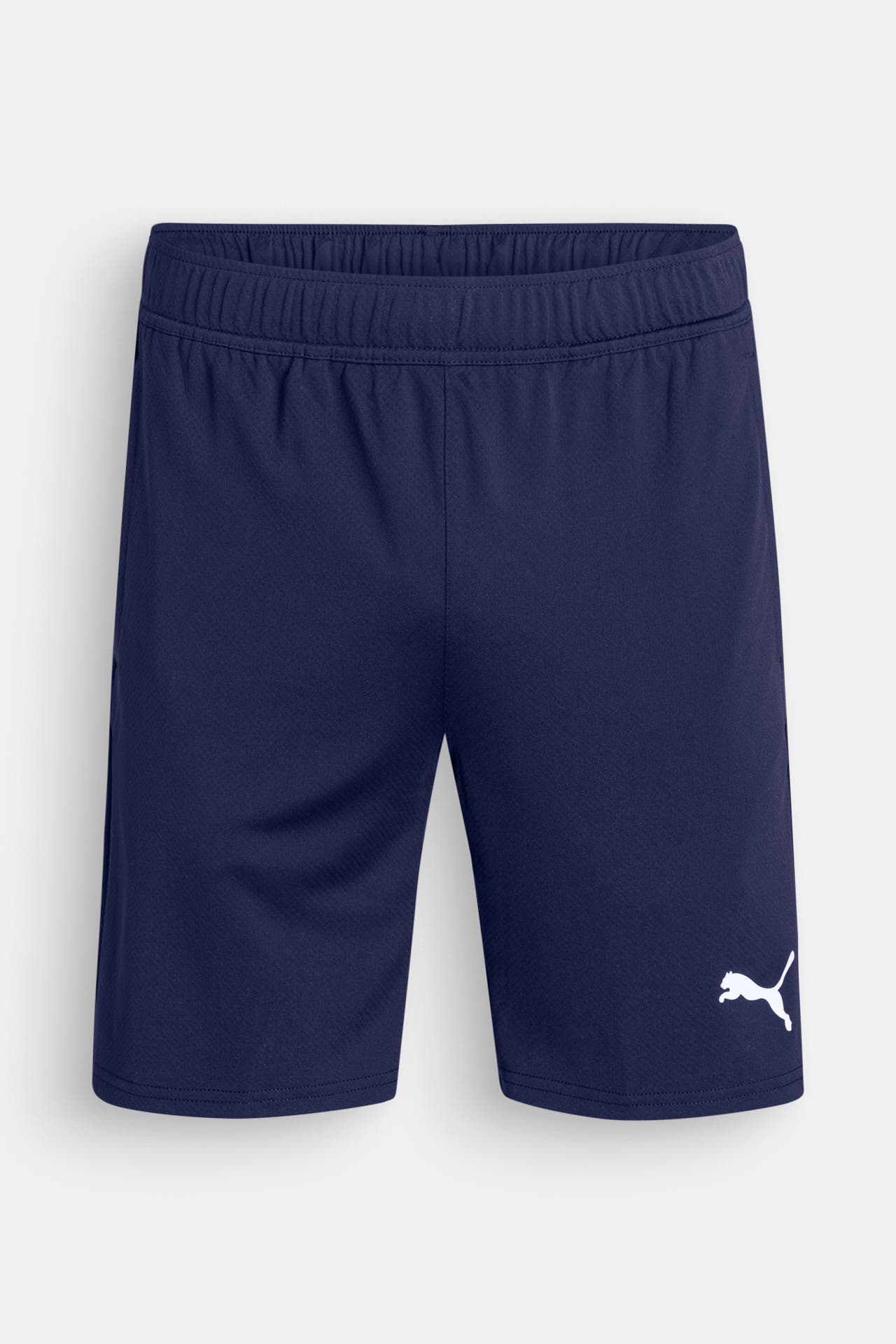 PUMA Funktions-Shorts 'teamGOAL' navy, Bild 1