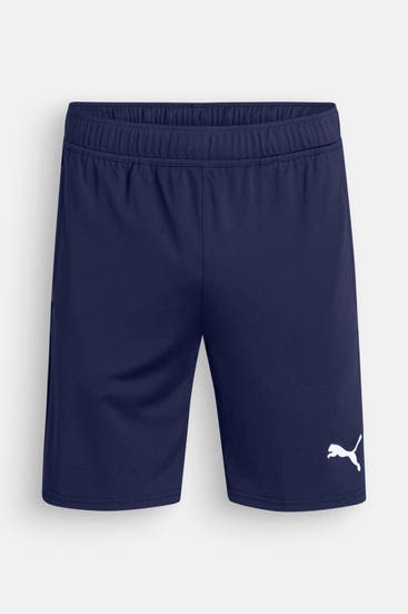 PUMA - Funktions-Shorts 'teamGOAL' navy