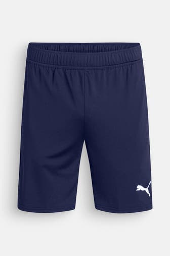 PUMA Funktions-Shorts 'teamGOAL' navy