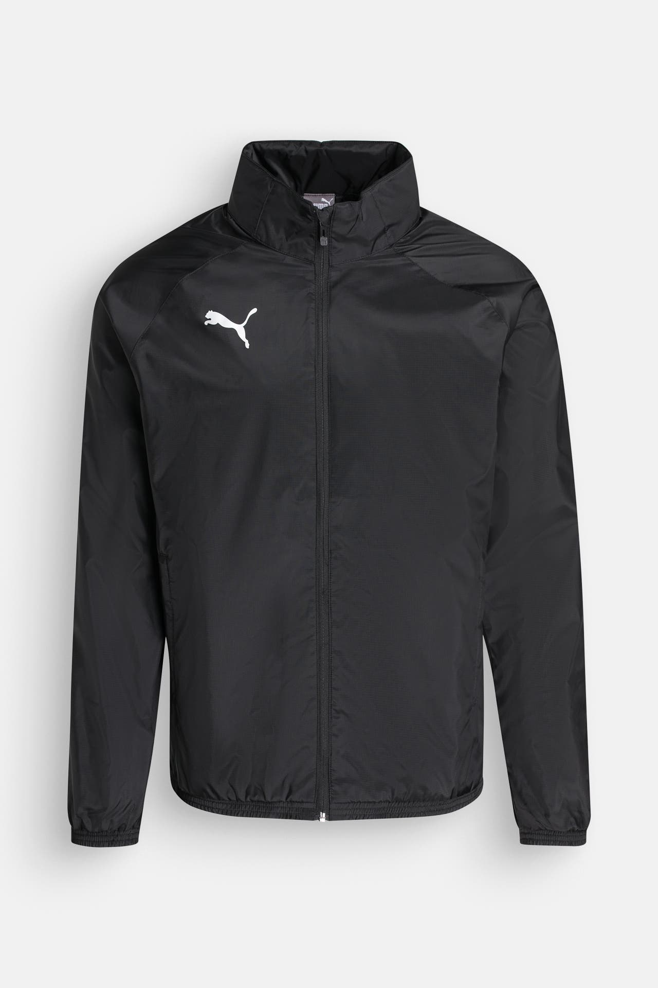 PUMA Übergangsjacke 'teamGOAL All Weather', Bild 1