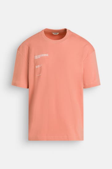 CHASIN' T-Shirt 'Frame' terracotta