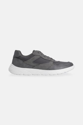 GEOX Sneaker 'Portello' grau