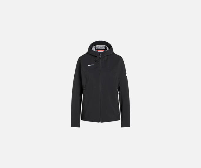 Mammut