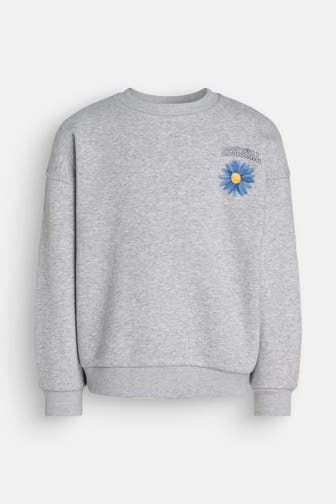 DESIGUAL Sweatshirt grau