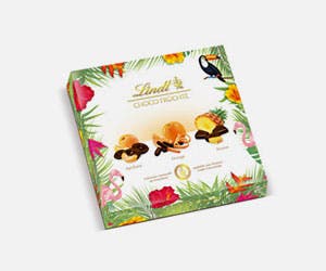 브랜드의 추가 제공 사항 Lindt 220727-lindt-angebote-300x250px.jpg