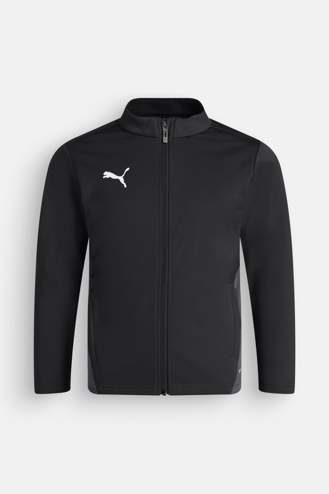 PUMA Trainingsjacke 'Team Goal' schwarz, Bild 1