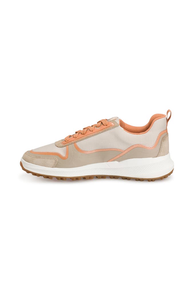 Marc Cain Sneaker Größe EUR 40 in Mehrfarbig