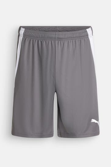 PUMA Funktions-Shorts 'teamLIGA' grau