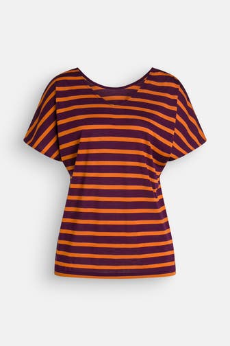 ICEBREAKER Funktionsshirt 'Drayden' gestreift