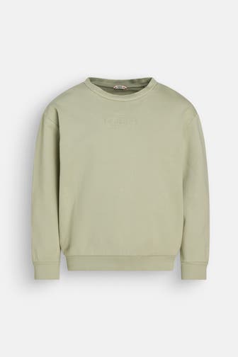 GUESS Sweatshirt pastelgrün