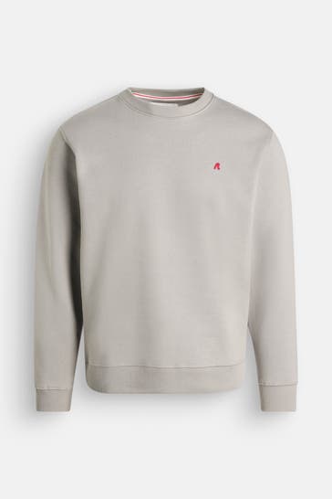 REPLAY Sweatshirt steingrau