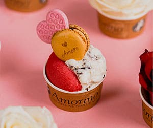 Additional offers from the brand Amorino 220131-amorino-angebote-300x250px-4.jpg