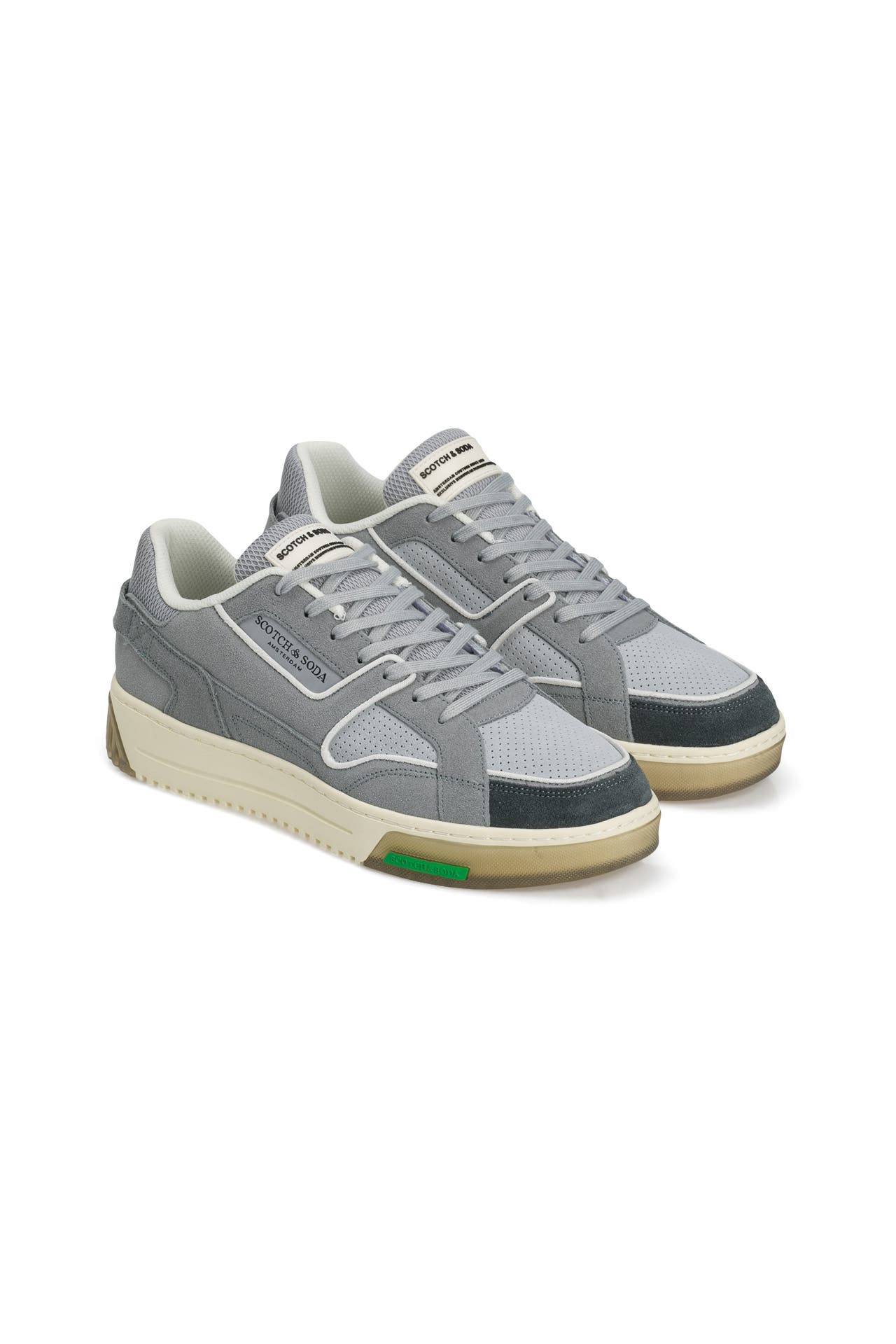 SCOTCH SODA Sneaker New Cup grau gunstig online kaufen Outletcity