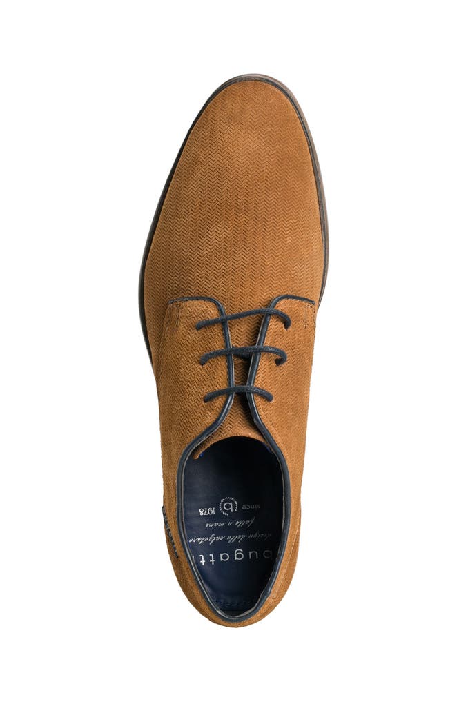 Derbys Bugatti Homme 312420021000 – Chaussures Cuir Élégantes Et Confortables Pour Quotidien & Bureau