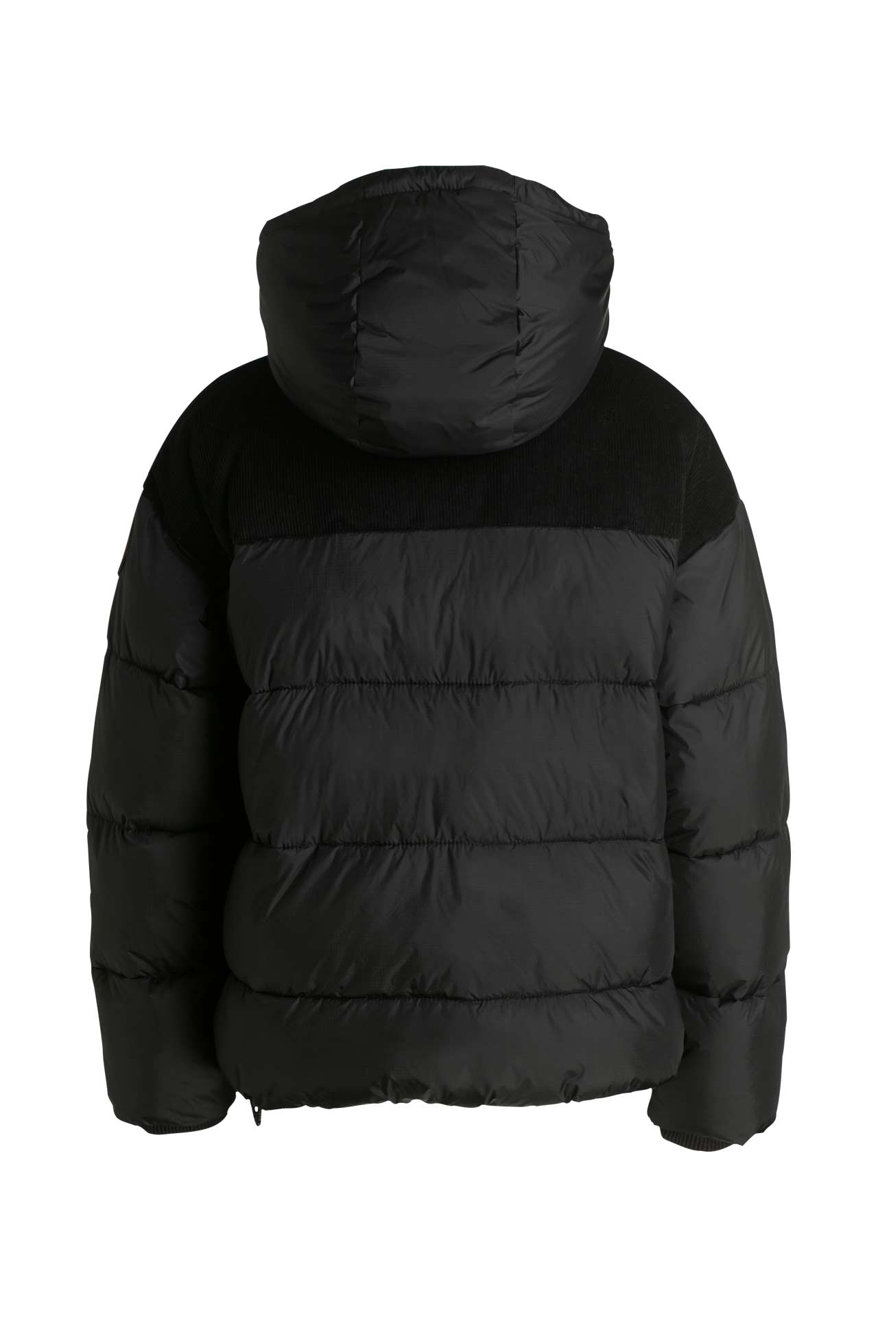 Napapijri cheap antero black