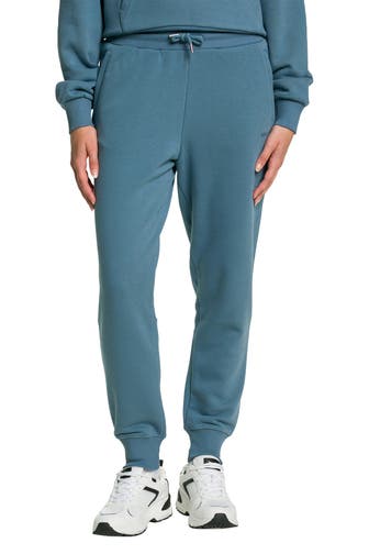 WOOLRICH Joggpants graublau