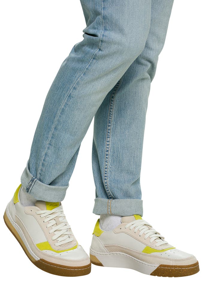 CLARKS Leder Sneaker #39 Craft Court #39 mehrfarbig günstig online kaufen