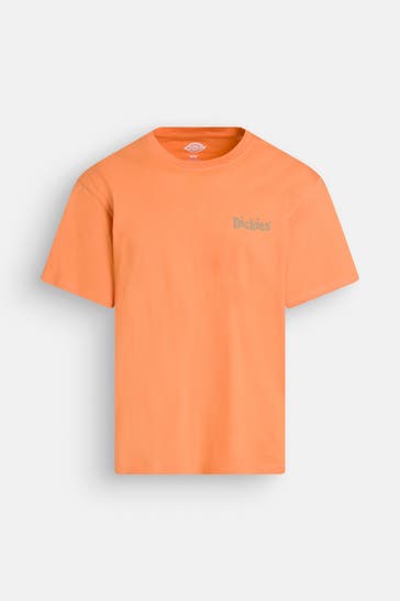 DICKIES T-Shirt orange