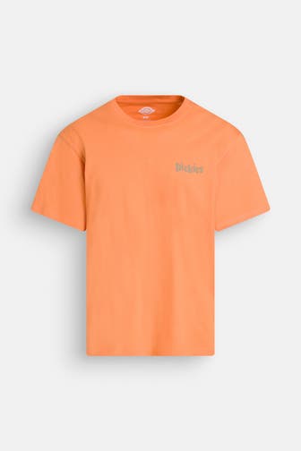DICKIES T-Shirt orange