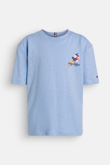 TOMMY HILFIGER T-Shirt taubenblau