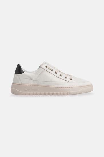 CANDICE COOPER Leder-Sneaker 'Vito' steingrau