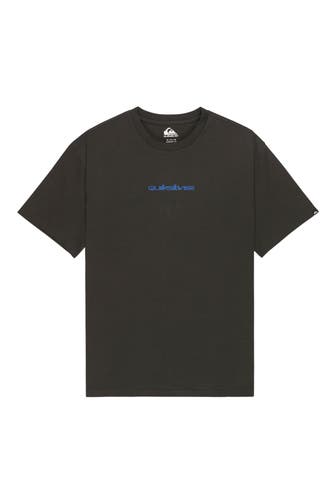 QUIKSILVER T-Shirt graugrün