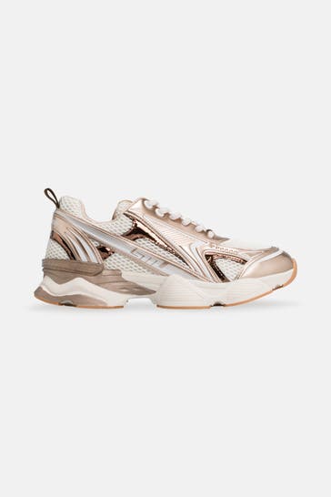 STEVE MADDEN Sneaker 'Speedster-E' mehrfarbig