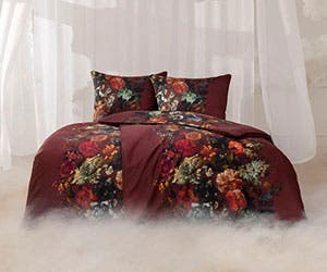 品牌其他优惠 Estella 220912-estella-angebote-300x250px-1.jpg