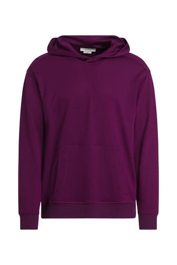 ICEBREAKER Hoodie 'Shifter' lila