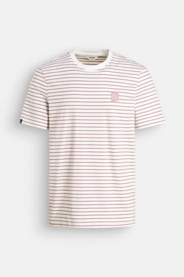 CHASIN' T-Shirt 'Shore' mehrfarbig